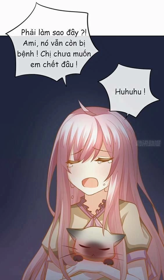 Vật Nuôi Đáng Yêu: Mèo Cỏ Của Tôi Chapter 4 - 72