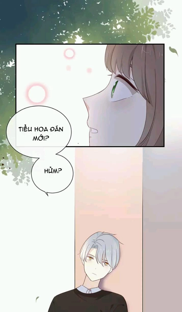 Tôi Bị Idol... Chuyện Không Thể Tả Chapter 11 - 17