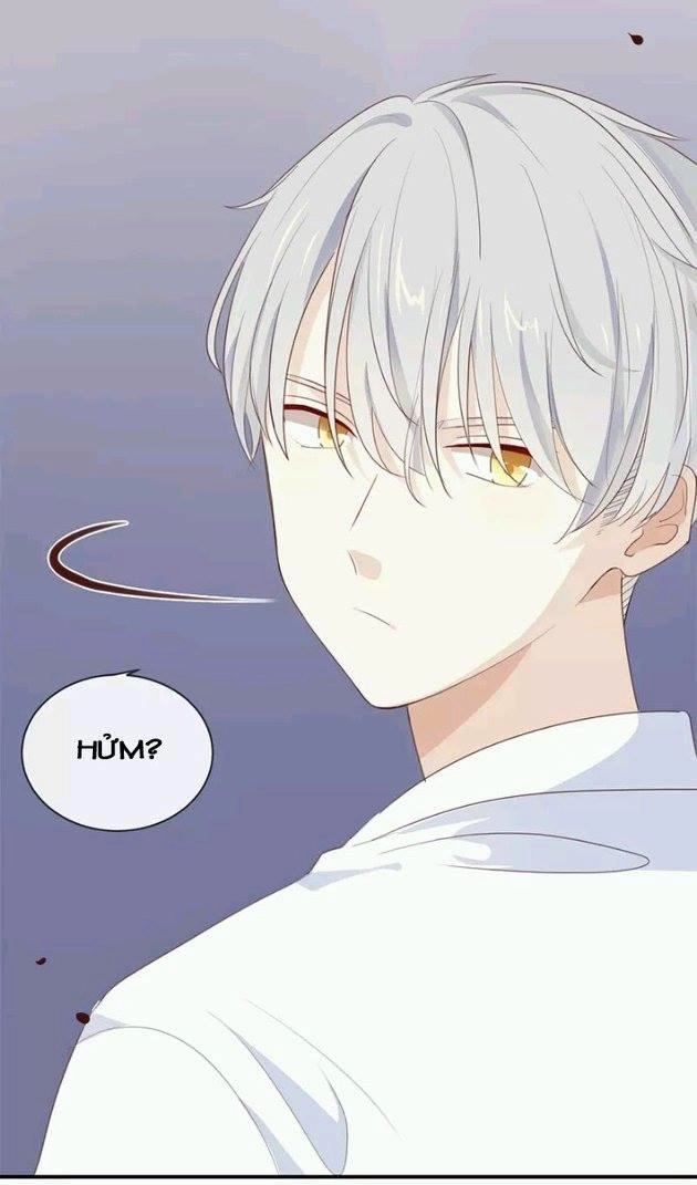 Tôi Bị Idol... Chuyện Không Thể Tả Chapter 19 - 12