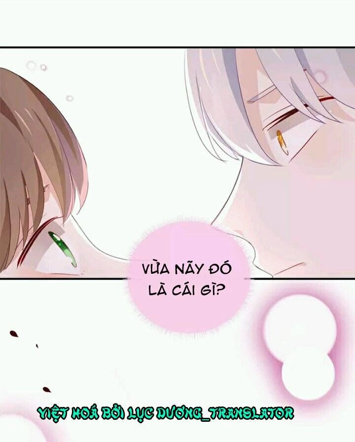 Tôi Bị Idol... Chuyện Không Thể Tả Chapter 21 - 28