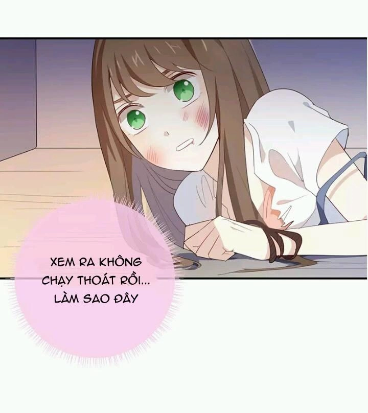 Tôi Bị Idol... Chuyện Không Thể Tả Chapter 42 - 21