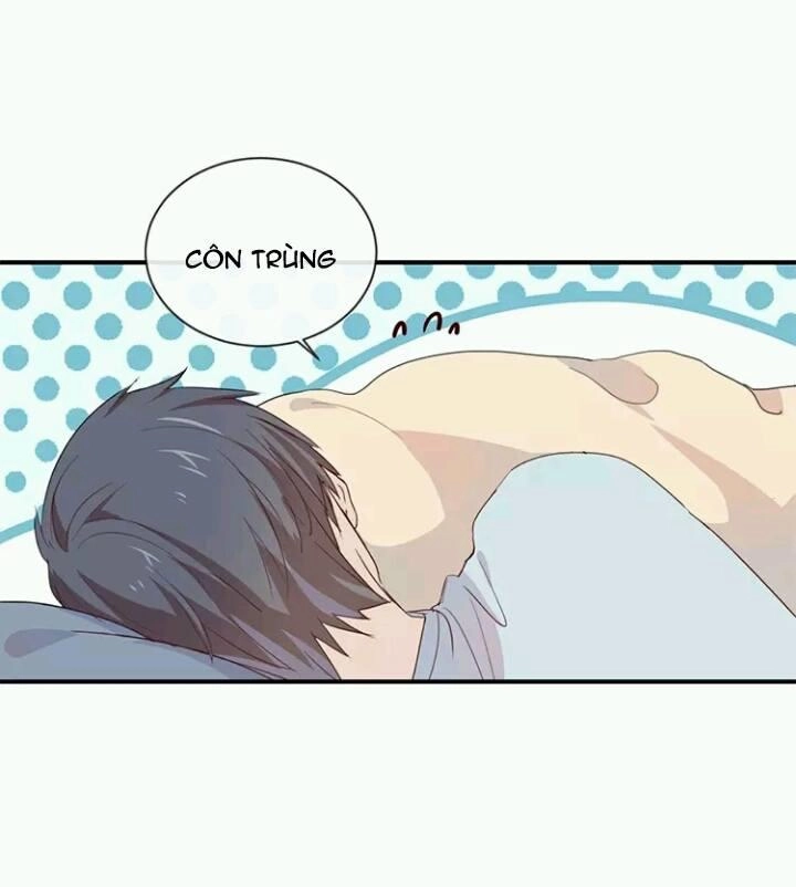 Tôi Bị Idol... Chuyện Không Thể Tả Chapter 52 - 4