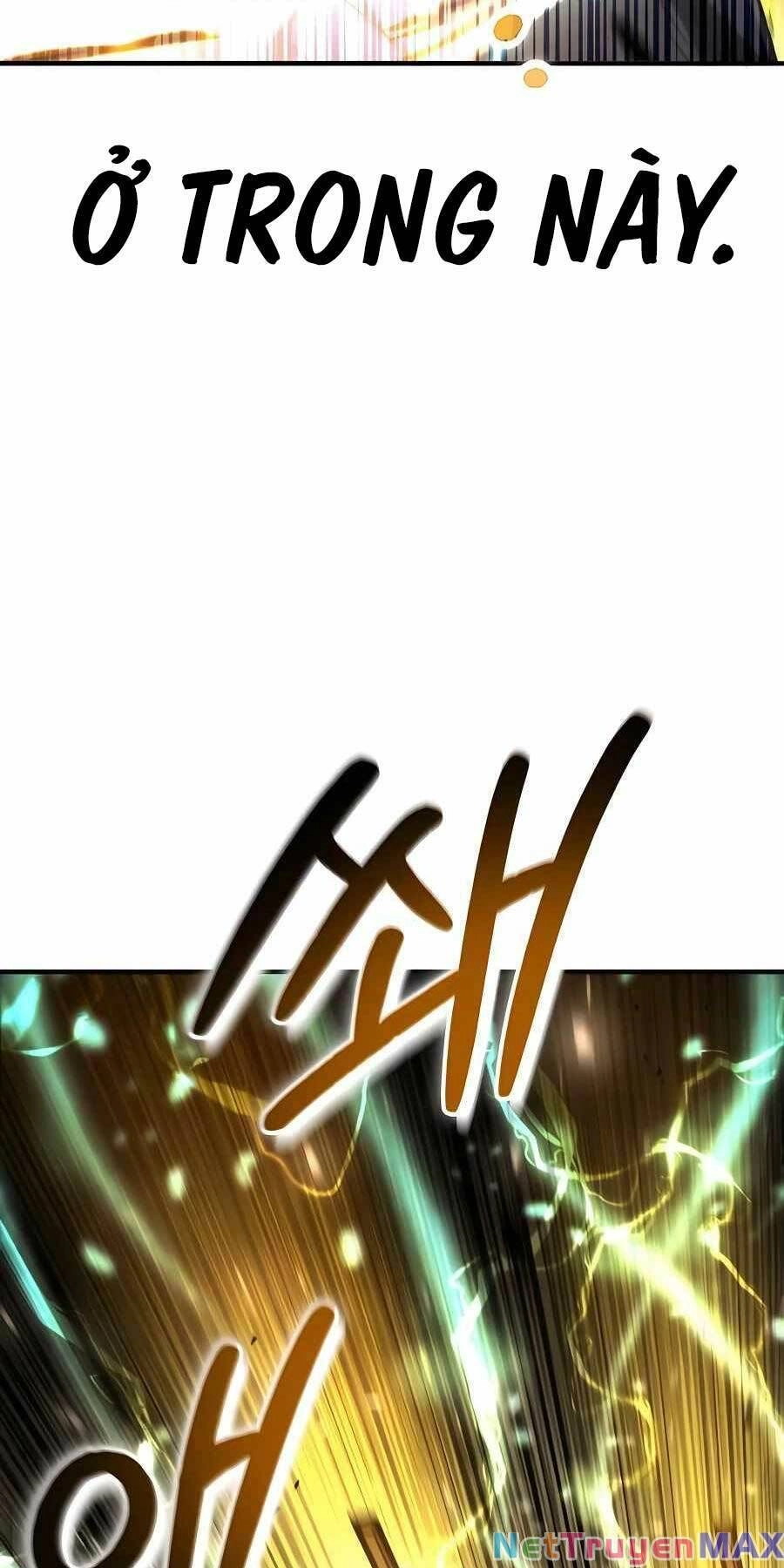 Làm Sao Sống Như Một Trị Liệu Sư Ngầm? Chapter 22 - 68