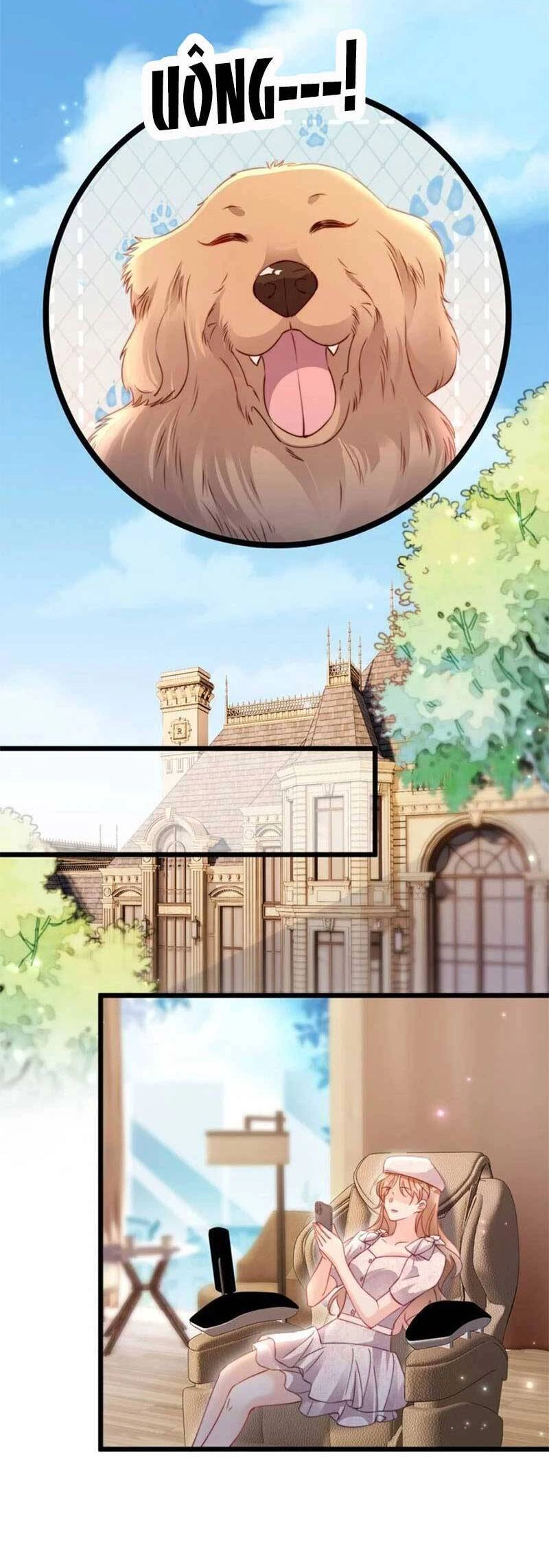 Phá Vỡ Kế Hoạch Của Tra Nam Tôi Về Bên Đại Boss Chapter 49 - 12