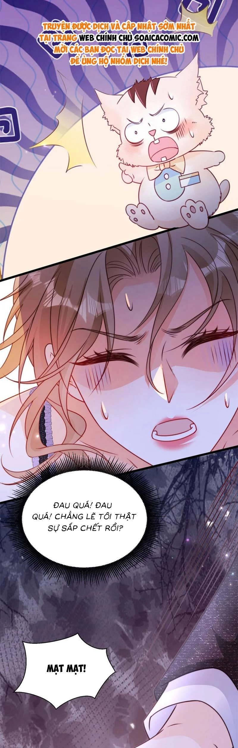 Phá Vỡ Kế Hoạch Của Tra Nam Tôi Về Bên Đại Boss Chapter 53 - 13