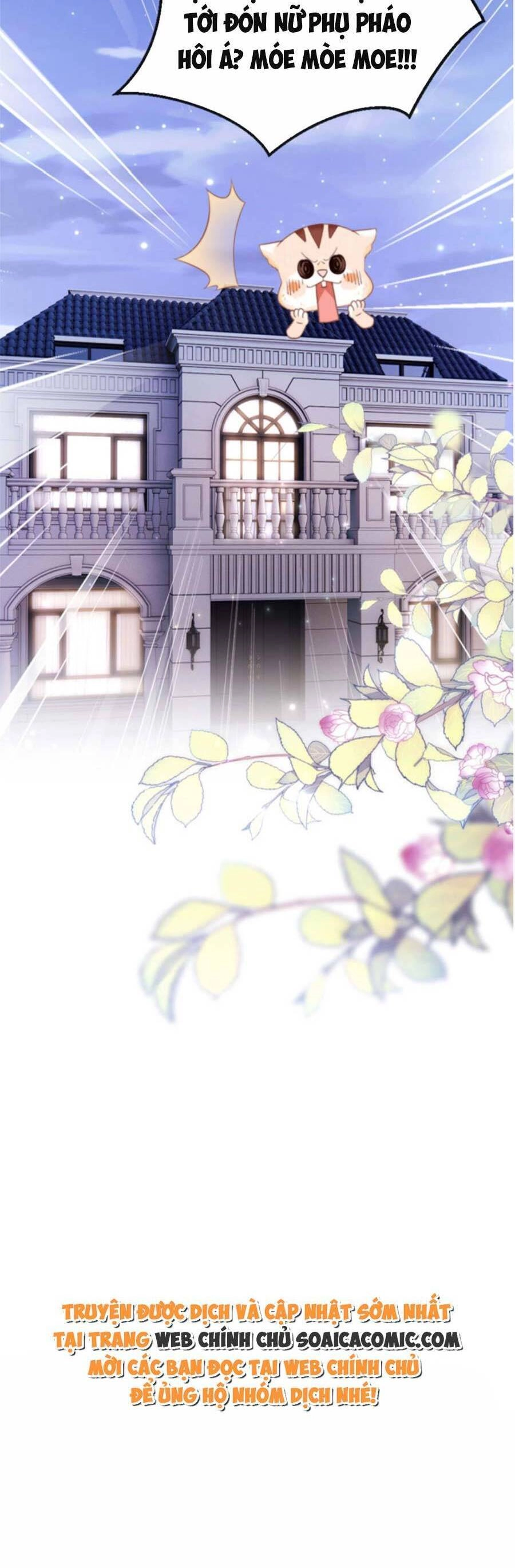 Phá Vỡ Kế Hoạch Của Tra Nam Tôi Về Bên Đại Boss Chapter 3 - 32