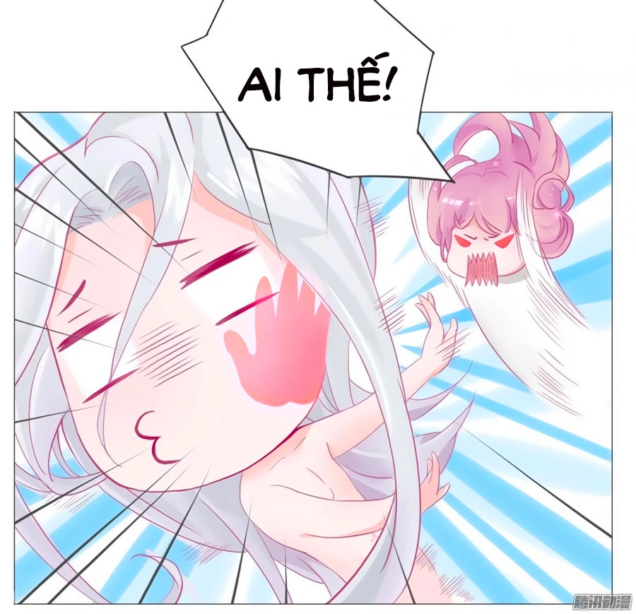 Hello Miêu Tiên Sinh Chapter 1 - 5