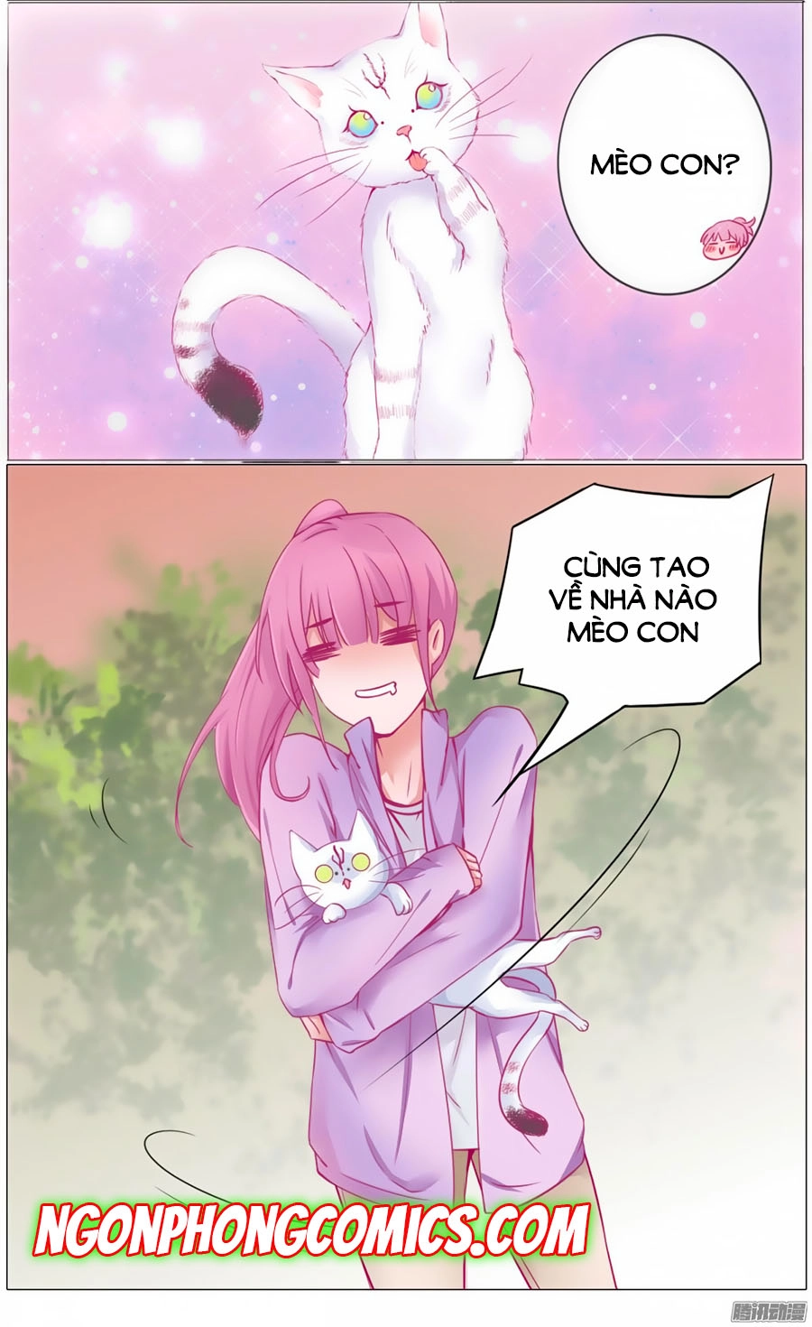 Hello Miêu Tiên Sinh Chapter 1 - 20