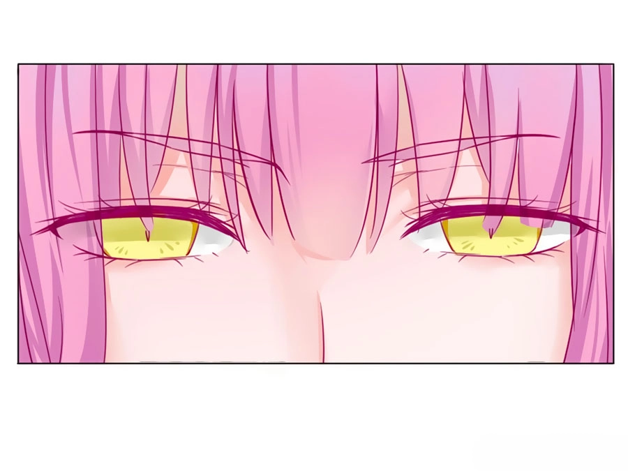 Hello Miêu Tiên Sinh Chapter 2 - 18