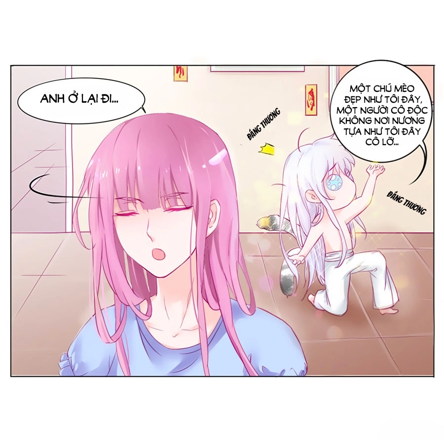 Hello Miêu Tiên Sinh Chapter 2 - 19