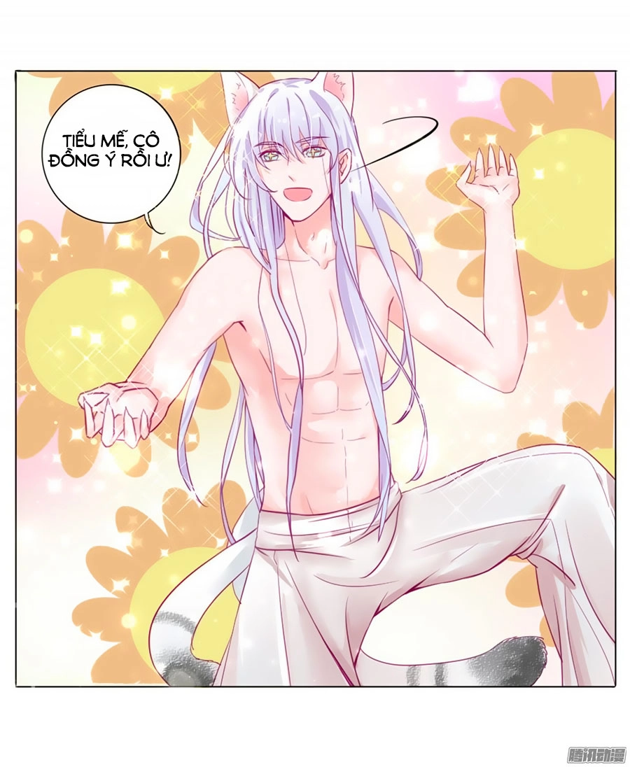 Hello Miêu Tiên Sinh Chapter 2 - 20