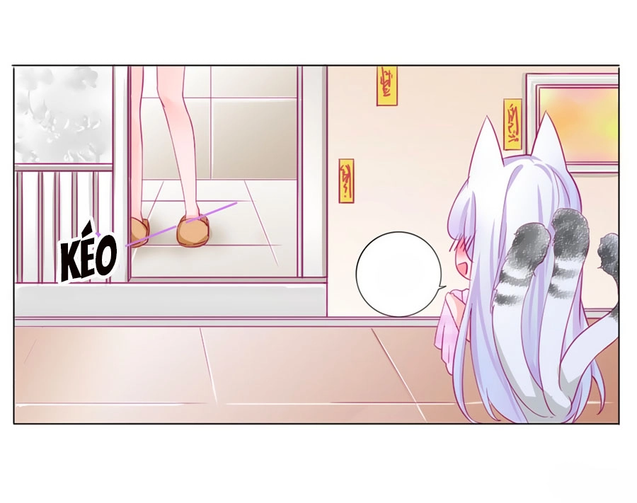 Hello Miêu Tiên Sinh Chapter 2 - 22