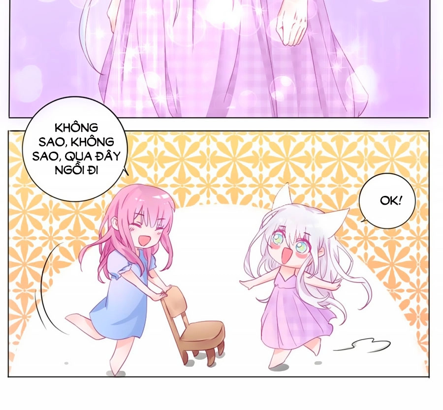 Hello Miêu Tiên Sinh Chapter 2 - 29