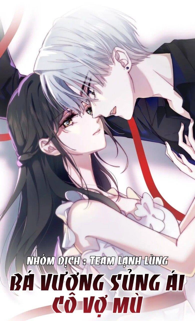 Bá Vương Sủng Ái Cô Vợ Mù Chapter 2 - 1