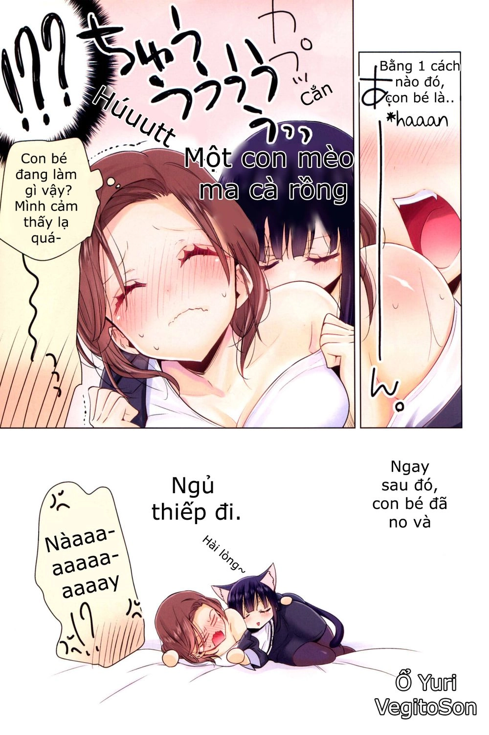 Story About Ol-San Picking Up A Cat Chapter 1 - 5