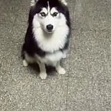 Đã Lâu Không Gặp Chapter 51 - 12