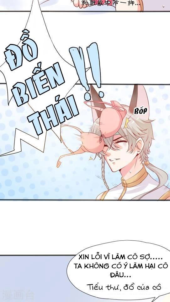 Nữ Chủ Là Nhân Vật Phản Diện Chapter 3 - 14