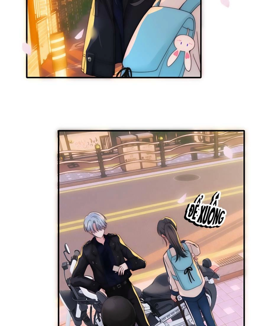 Vẫn Cứ Nuông Chiều Chapter 4 - 28