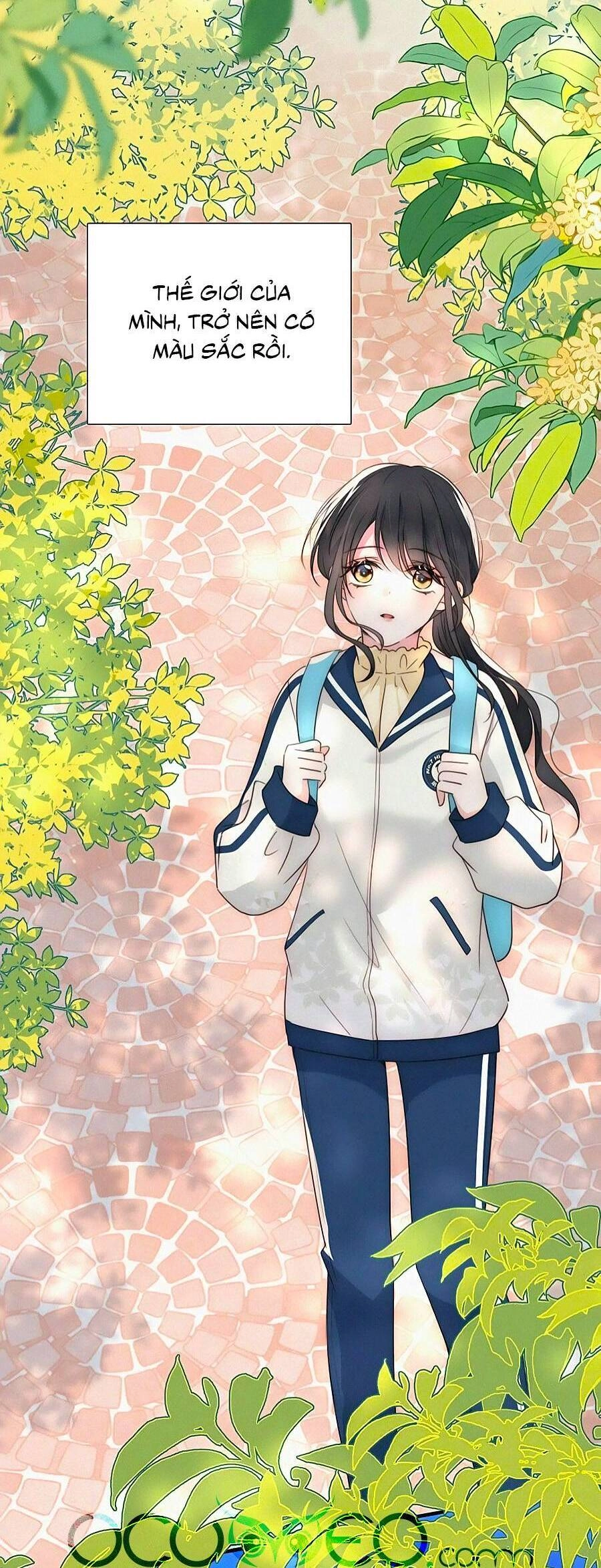 Vẫn Cứ Nuông Chiều Chapter 29 - 21