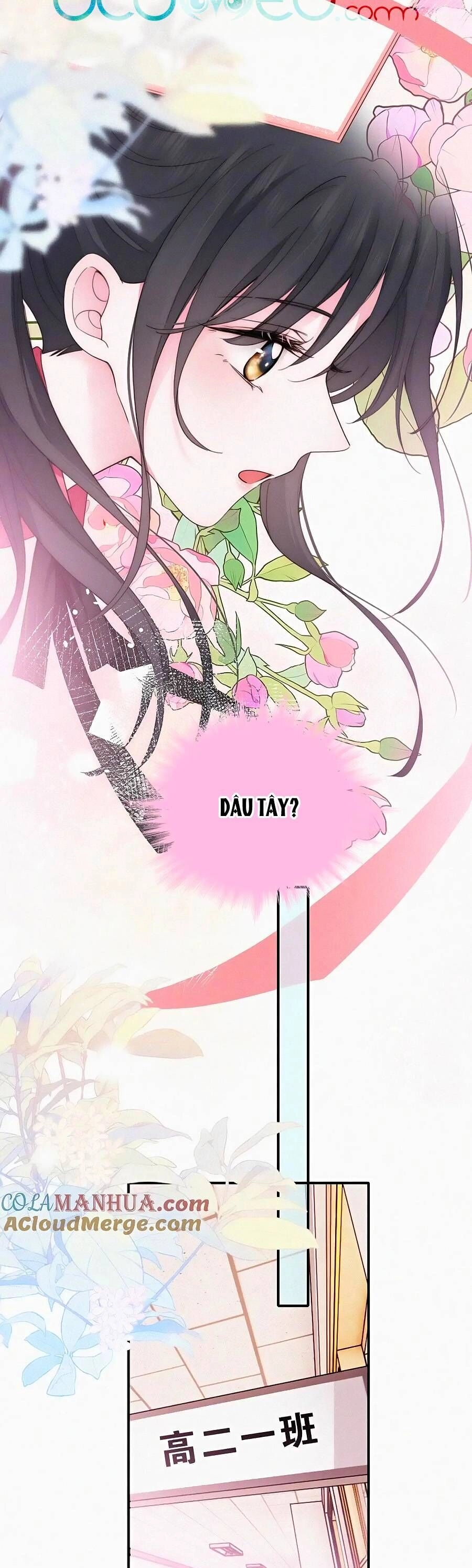 Vẫn Cứ Nuông Chiều Chapter 37 - 17