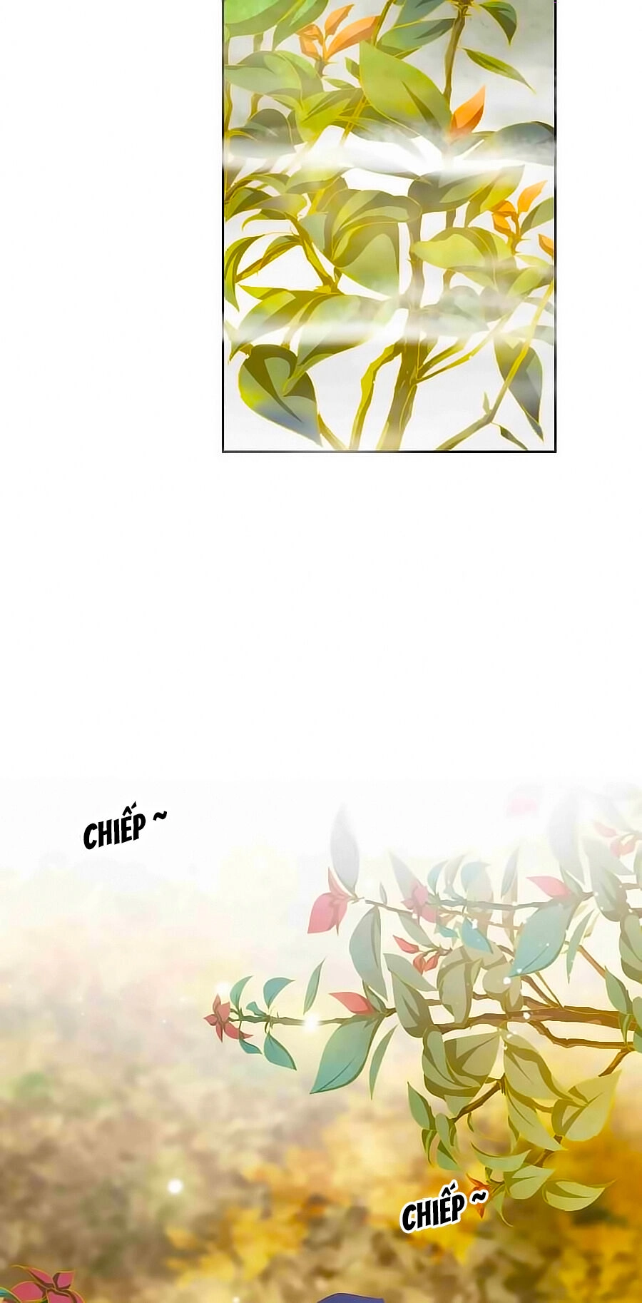 Tưởng Nhập Phi Phi Chapter 52 - 25