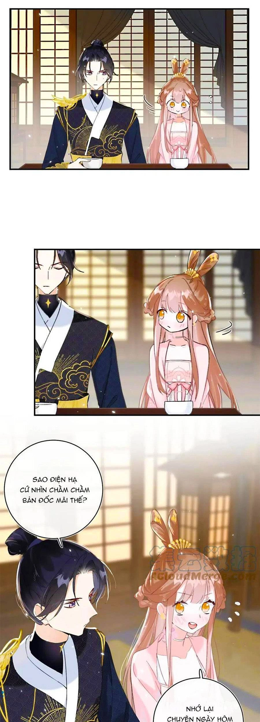 Lui Lui Lui Lui Ra! Chapter 75 - 5