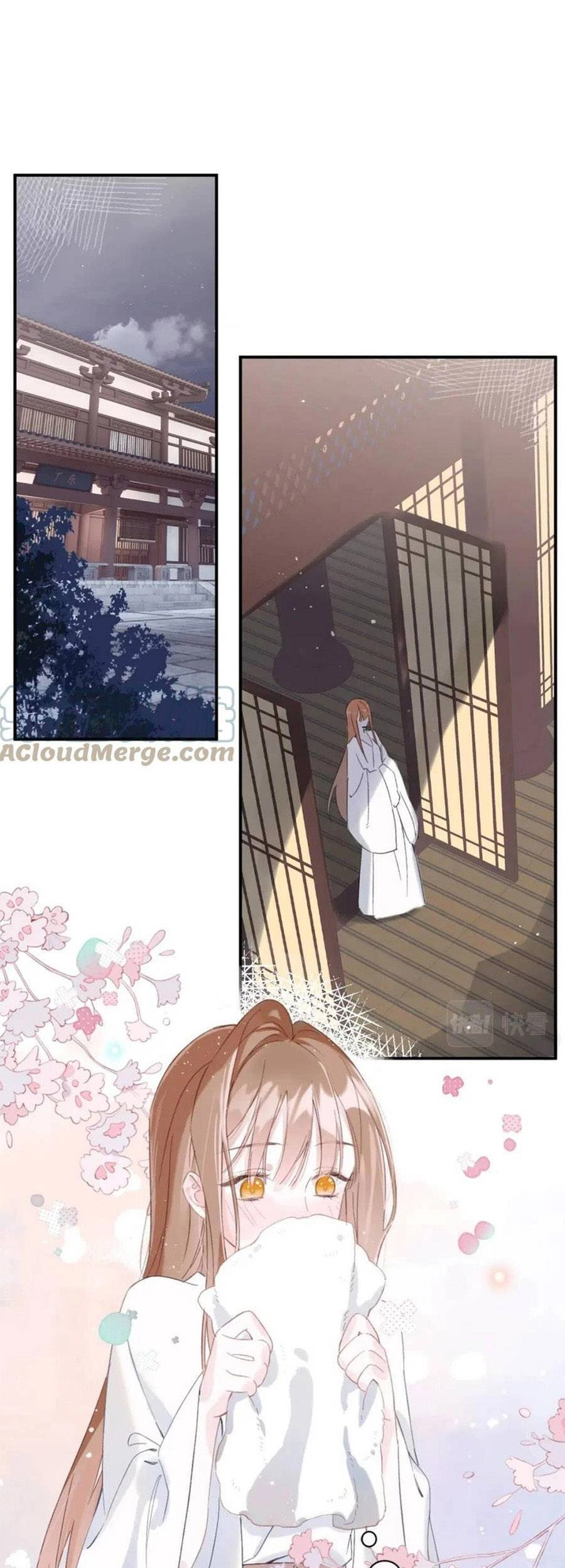 Lui Lui Lui Lui Ra! Chapter 81 - 8