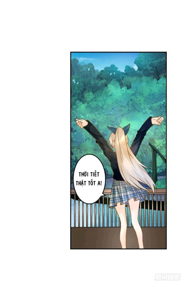 Ta Kim Chủ Bị Người Đoạt Chapter 8 - 5