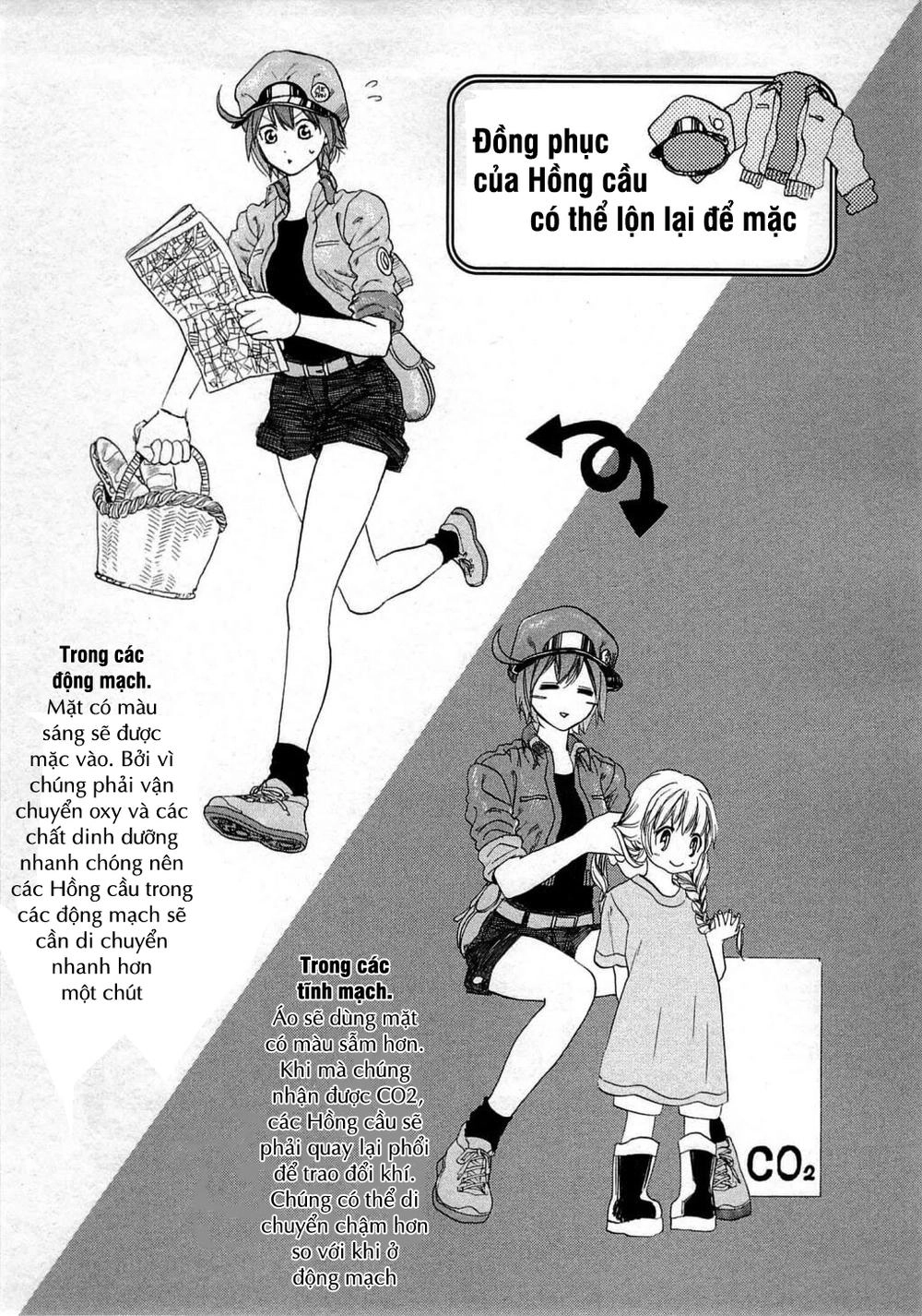 Hataraku Saibou! Chapter 2 - 44