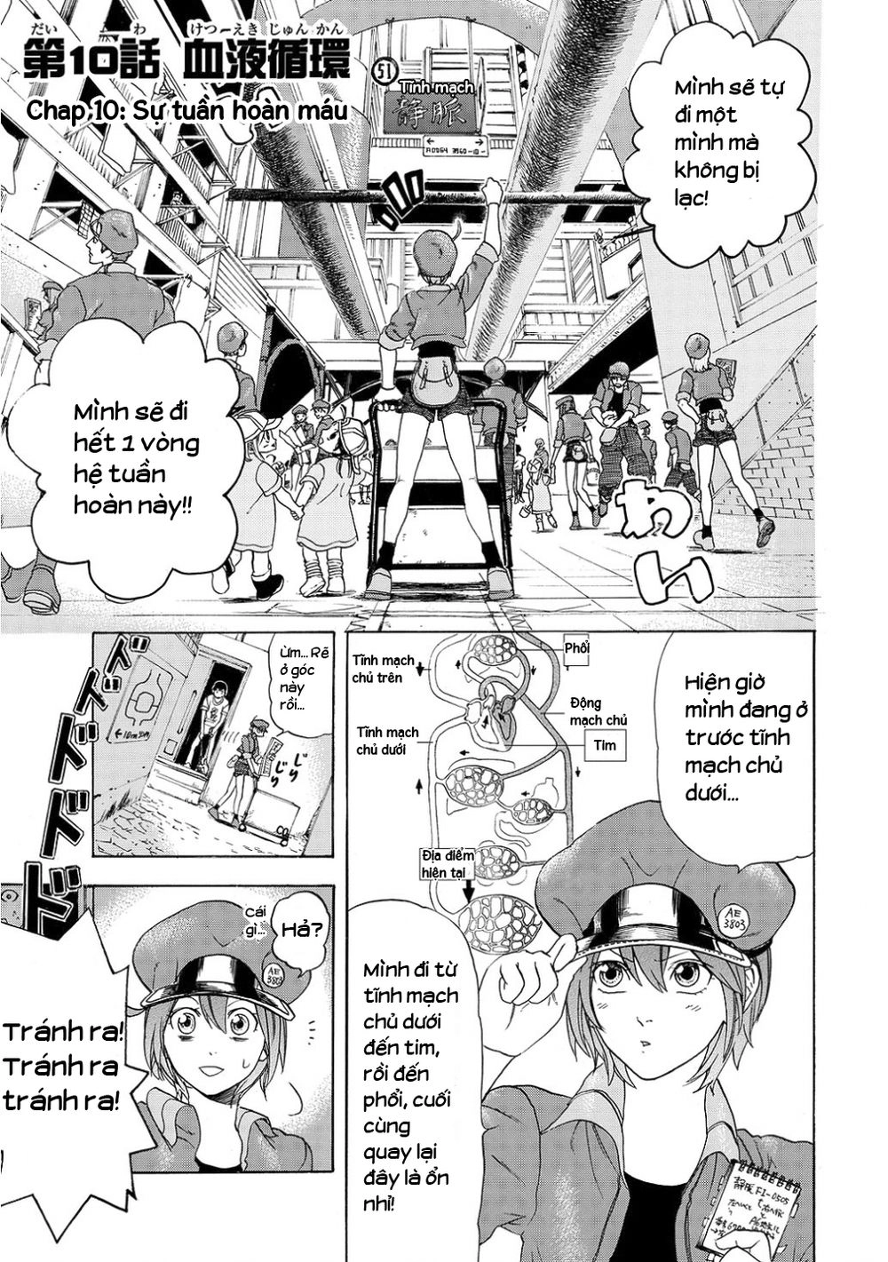 Hataraku Saibou! Chapter 10 - 5