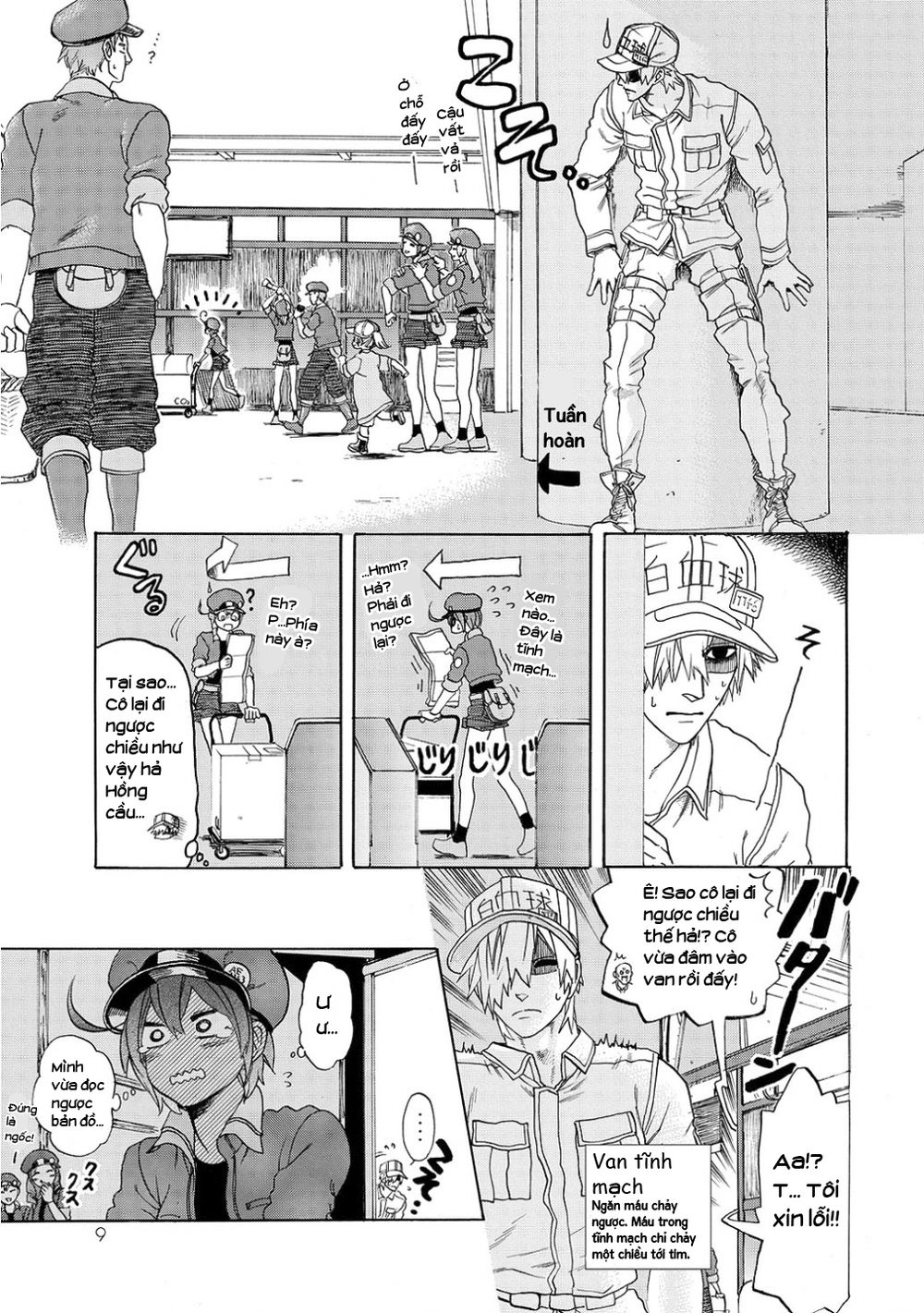 Hataraku Saibou! Chapter 10 - 11