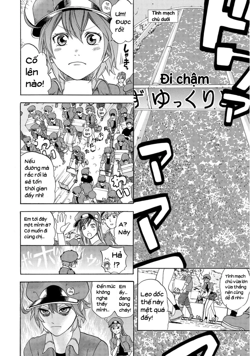 Hataraku Saibou! Chapter 10 - 12