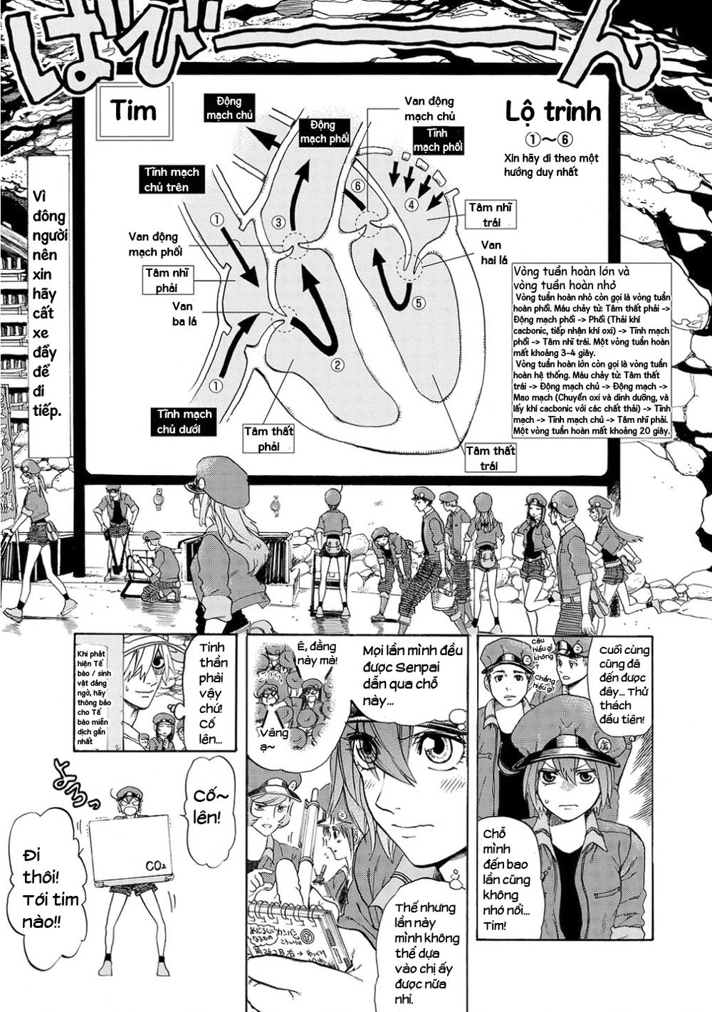 Hataraku Saibou! Chapter 10 - 13