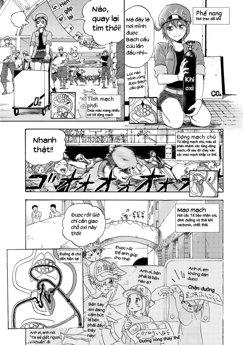 Hataraku Saibou! Chapter 10 - 16