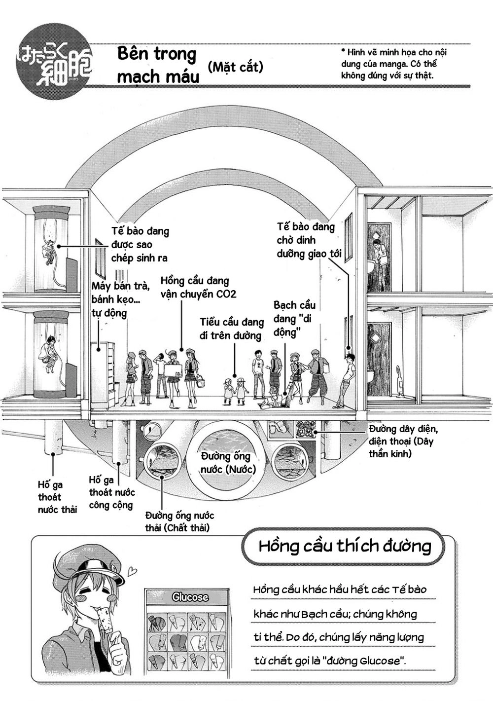 Hataraku Saibou! Chapter 10 - 26