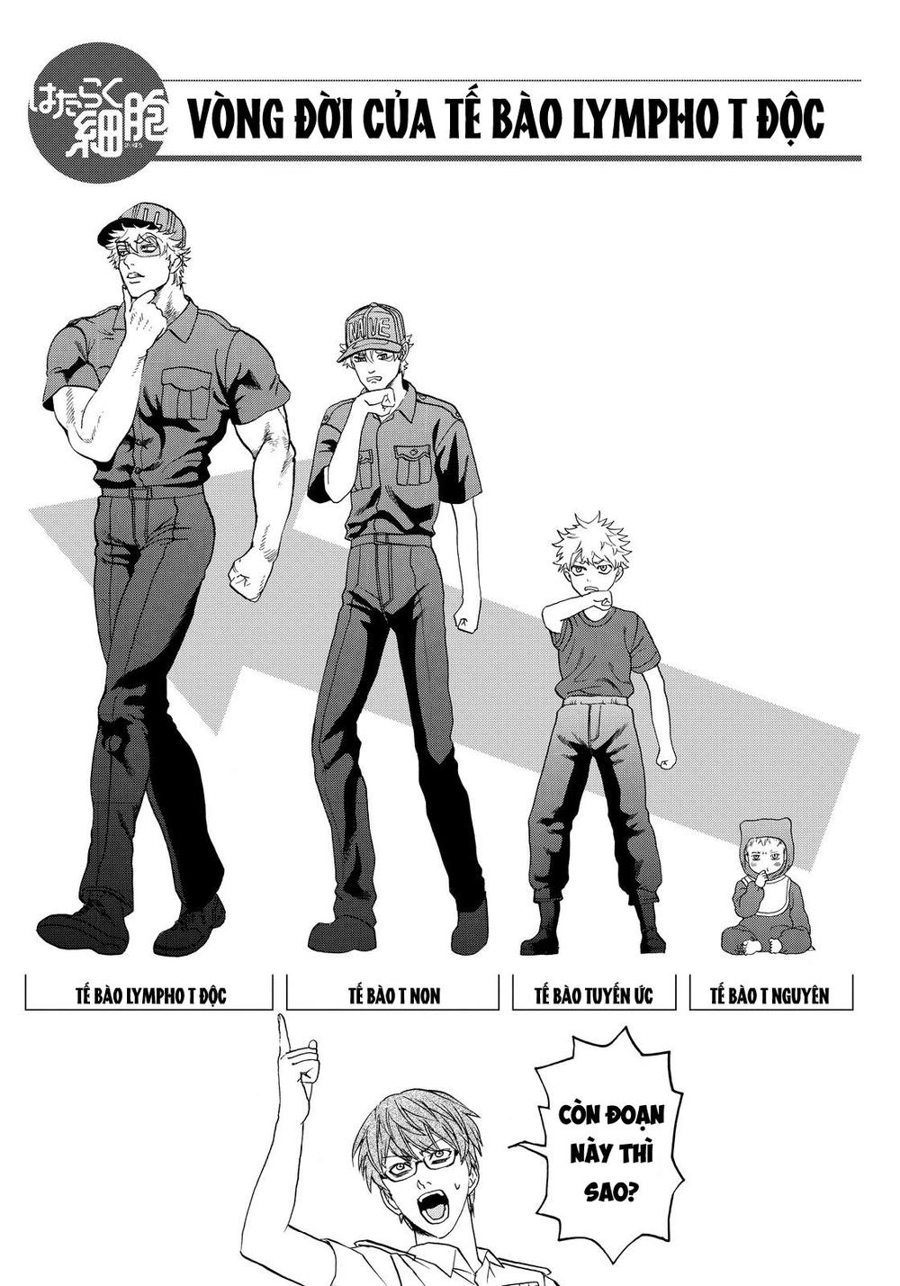 Hataraku Saibou! Chapter 12 - 35