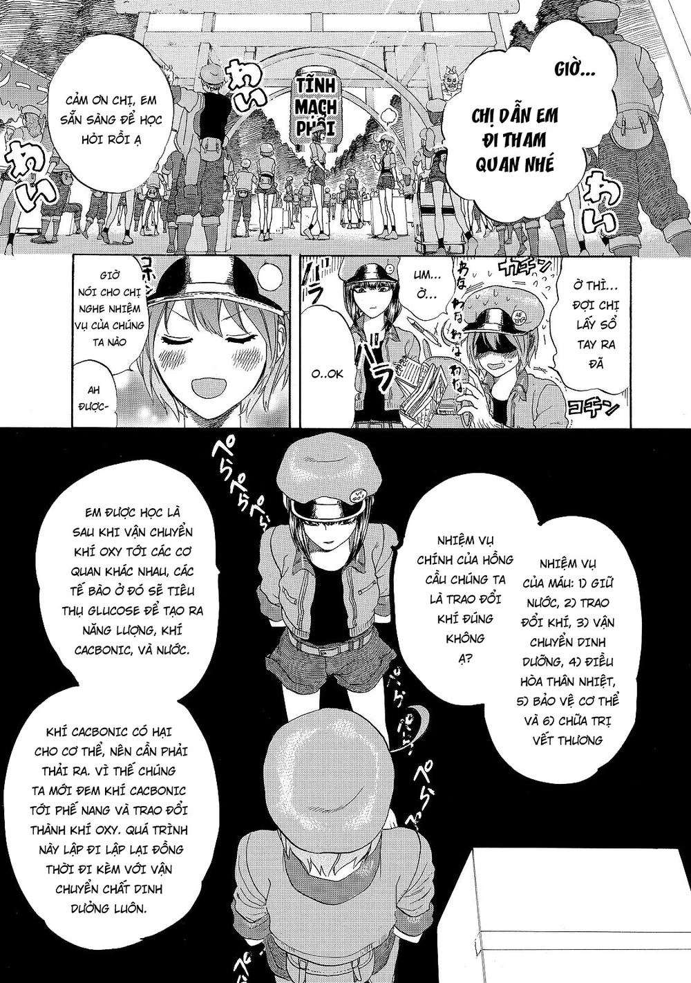 Hataraku Saibou! Chapter 17 - 5