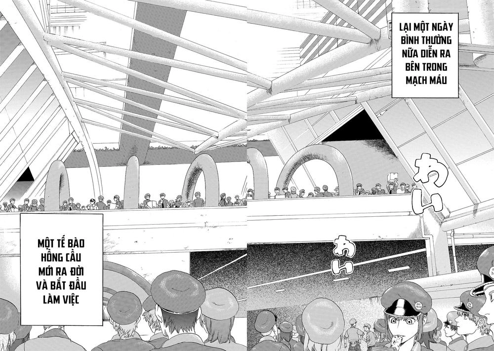 Hataraku Saibou! Chapter 17 - 13