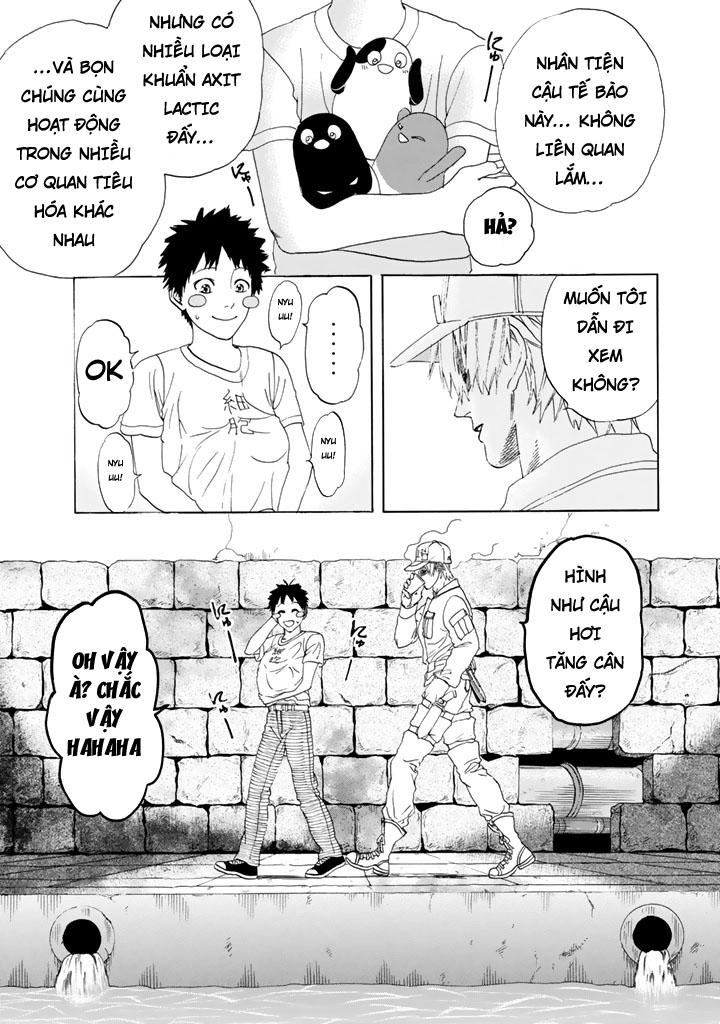 Hataraku Saibou! Chapter 20 - 44