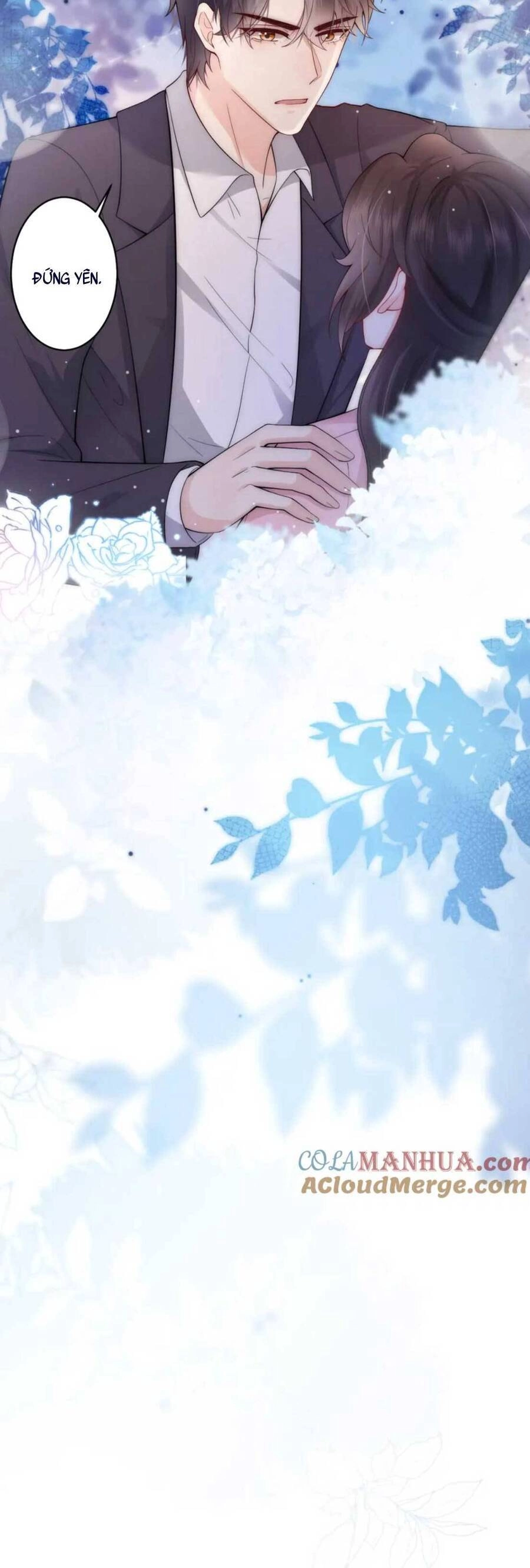 Lên Nhầm Giường Tổng Tài , Được Chồng Như Ý Chapter 12 - 23