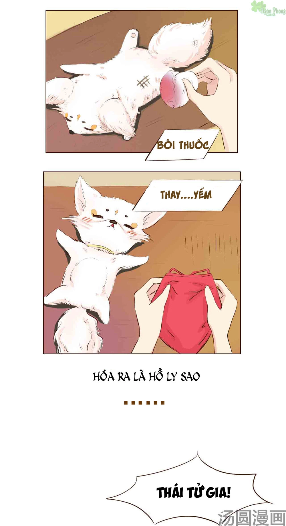 Mẫu Phi Đuôi Của Người Lộ Ra Rồi Kìa Chapter 4 - 10