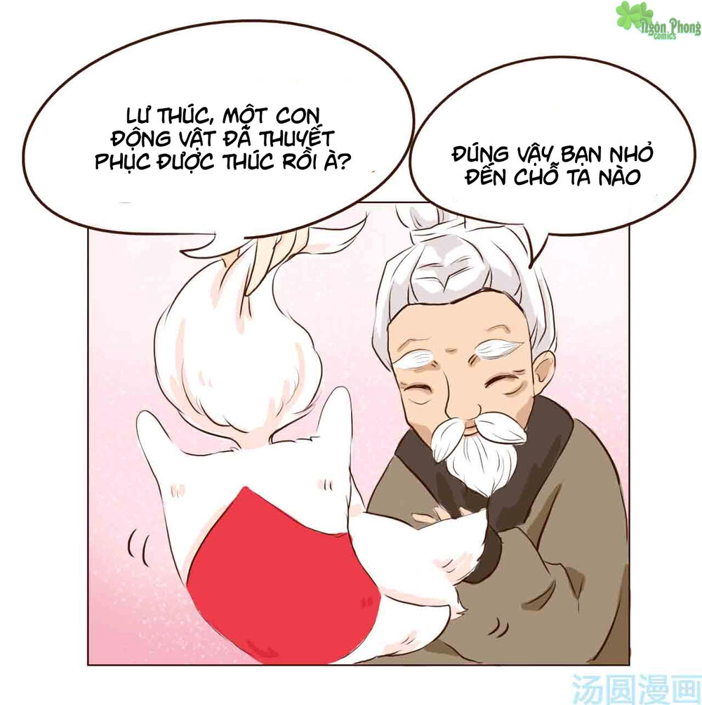 Mẫu Phi Đuôi Của Người Lộ Ra Rồi Kìa Chapter 5 - 14