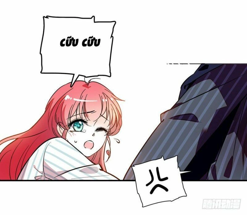 Bảo Bối V5 Boss Vội Vàng Cưng Chiều Chapter 2 - 5