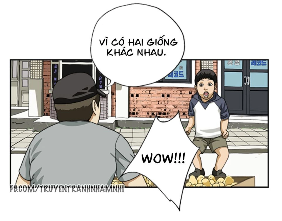 Cậu Bé Lập Dị Chapter 14 - 4