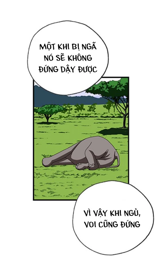 Cậu Bé Lập Dị Chapter 19 - 10