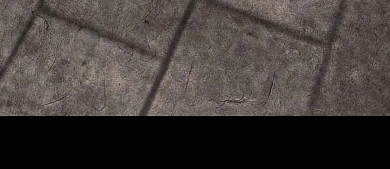 Thiên Ma Thần Quyết: Trùng Sinh Chapter 40 - 244