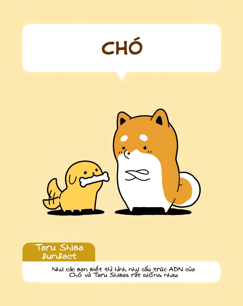 Taru Shiba Chapter 7 - 4