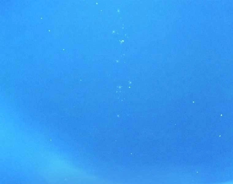 Chuyển Sinh Thành Tiêu Sư Chapter 1 - 307