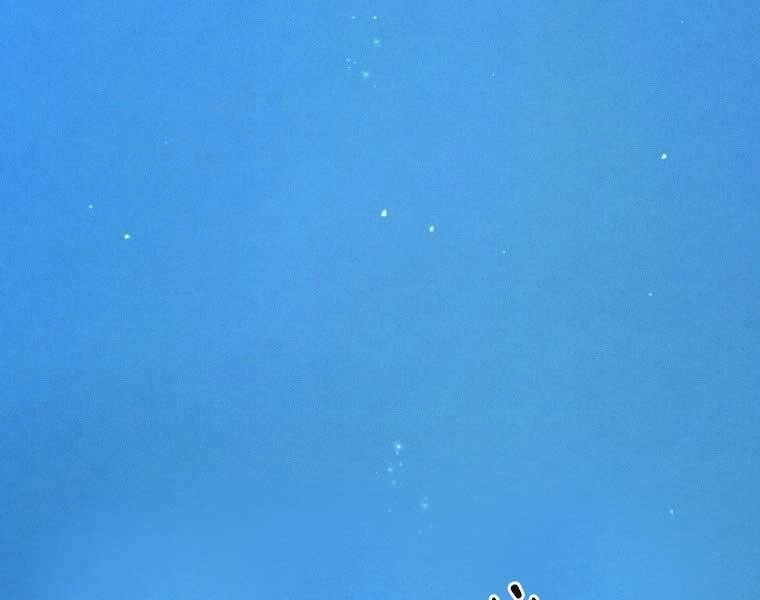 Chuyển Sinh Thành Tiêu Sư Chapter 1 - 309