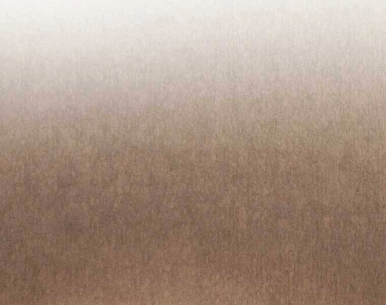 Chuyển Sinh Thành Tiêu Sư Chapter 3 - 137